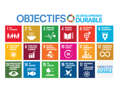 F_2016_SDG_Poster_all_sizes_without_UN_emblem