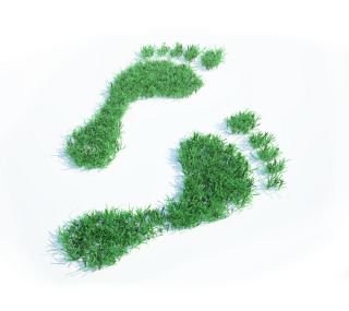 Ecological footprint